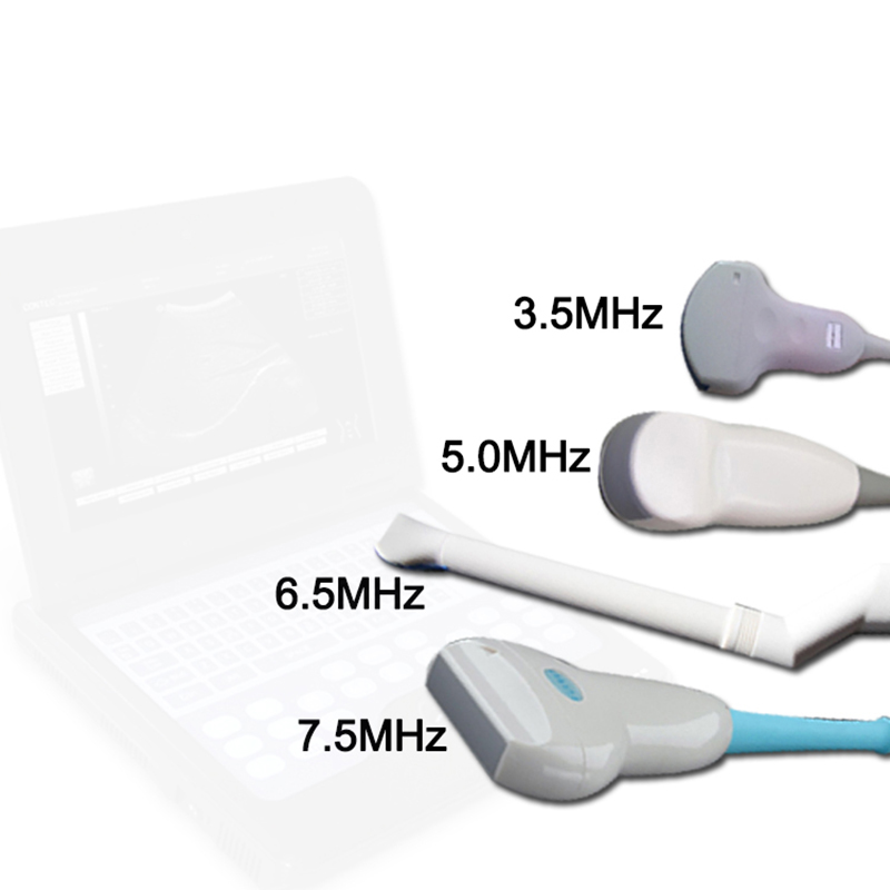 Veterinär-Ultraschall-Diagnosesystem CMS600P2VET