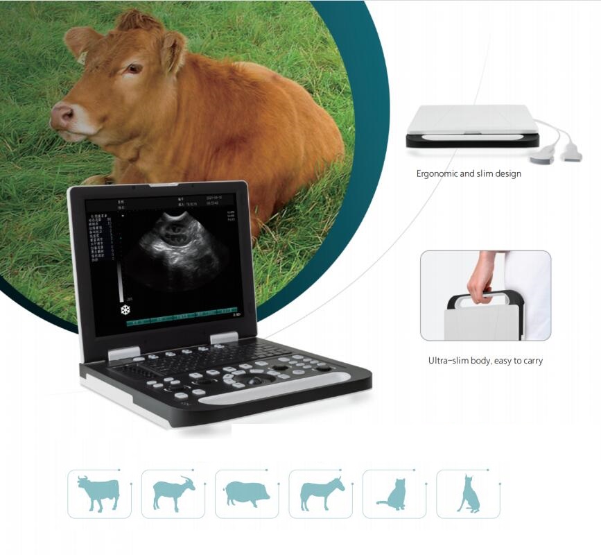 2-Sonden-Schnittstelle 15-Zoll-volldigitaler Veterinär-Ultraschallscanner CBV-RS-N50