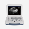 Tragbarer 12,1-Zoll-Laptop-Veterinär-Ultraschallscanner für Großtiere CBV-MU10