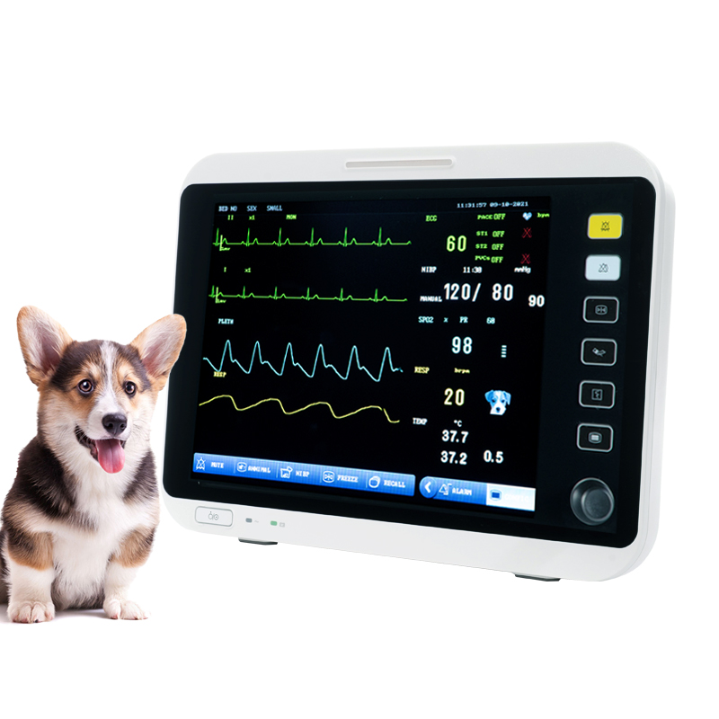 Tragbarer 12,1-Zoll-Veterinär-Multiparametermonitor VM12B