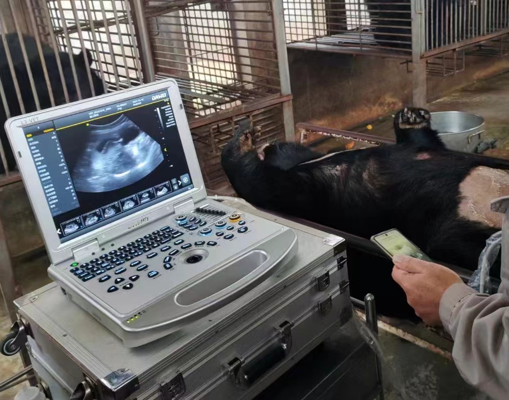 Einsatz von Cupabear-Veterinärgeräten in Kundenkliniken