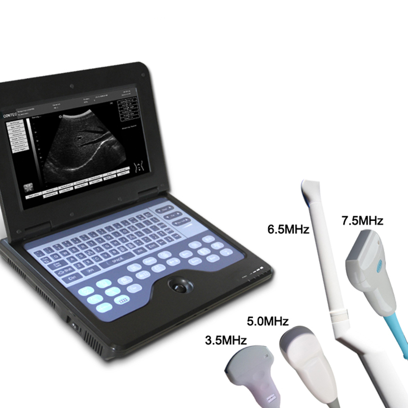 Veterinär-Ultraschall-Diagnosesystem CMS600P2VET